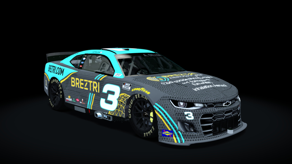 NEXT GEN CAMARO 2022 Dirt 2.0, skin 3_breztri