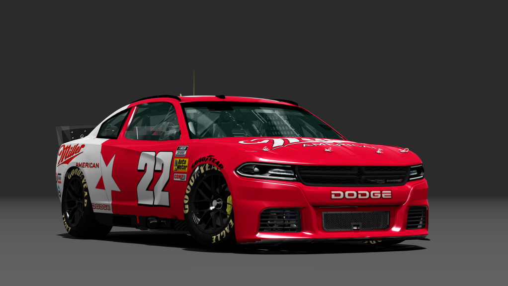 NEXT GEN DODGE 2022 Dirt 2.0, skin 15