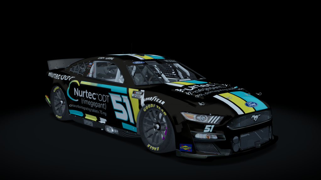 NEXT GEN MUSTANG 2022 Dirt 2.0, skin 51_nurtec black