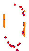 charlotte collisions