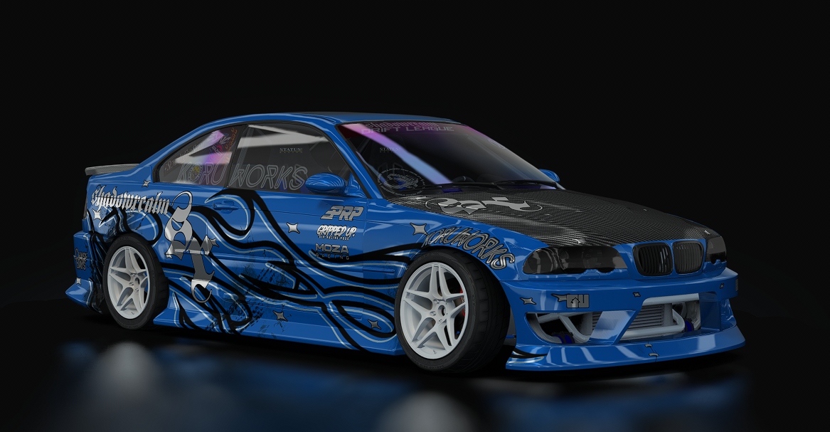 SRDL ProAM V3 BMW E46, skin 1_SDco