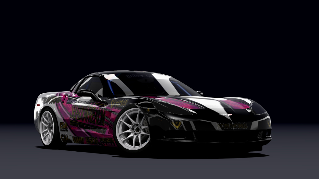 SRDL ProAM Chevrolet Corvette C6, skin DWj.stafford