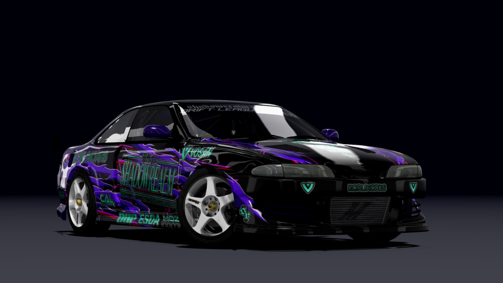 SRDL ProAM Nissan Silvia S14, skin _TeamSR