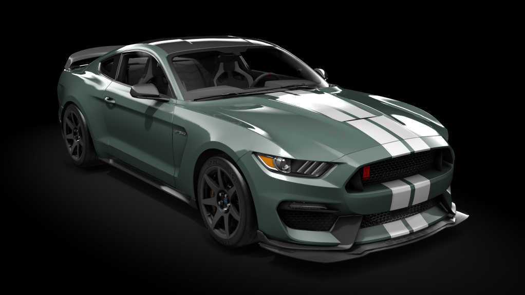 Ford Mustang Shelby GT350R 2016, skin 08_guard_metallic