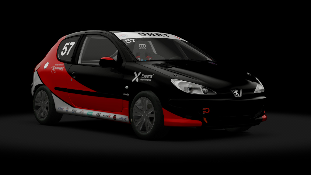 Peugeot 206 GTi Cup, skin 57_deGraaf