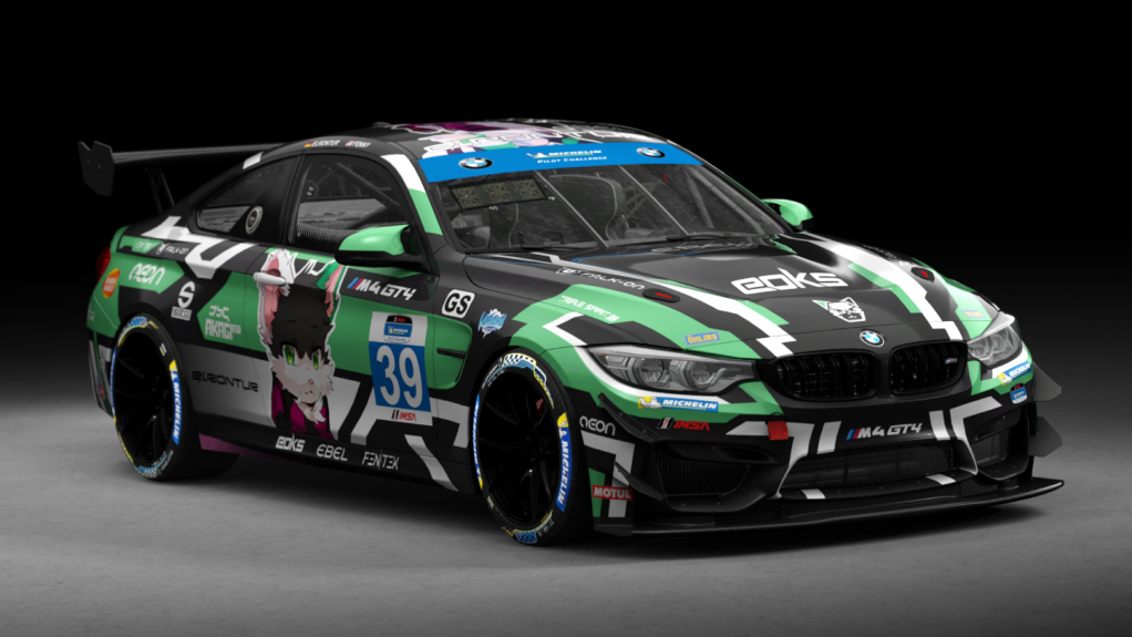 BMW M4 GT4, skin Elrontur