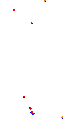 bushy_park_circuit collisions