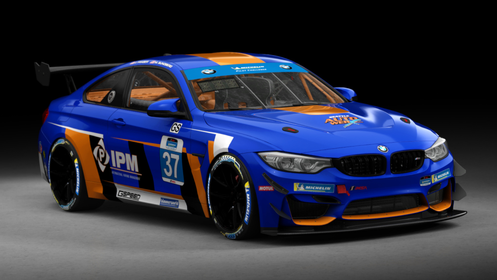 BMW M4 GT4, skin Frasun_Racing_37