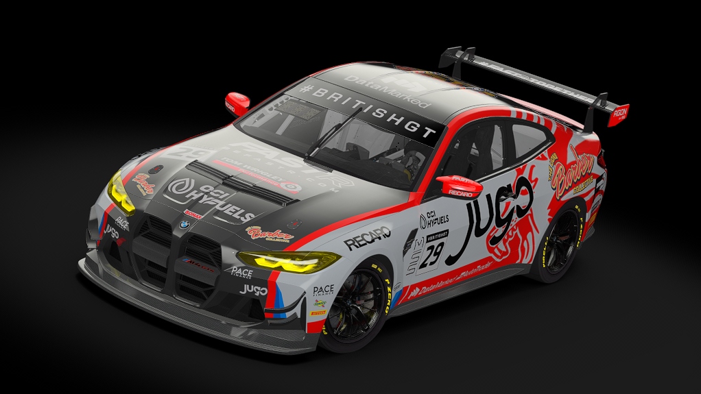 BMW M4 GT4 G82, skin 2024 Race Lab #29