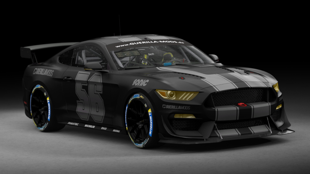 Ford Mustang GT4, skin 56_guerilla_racing