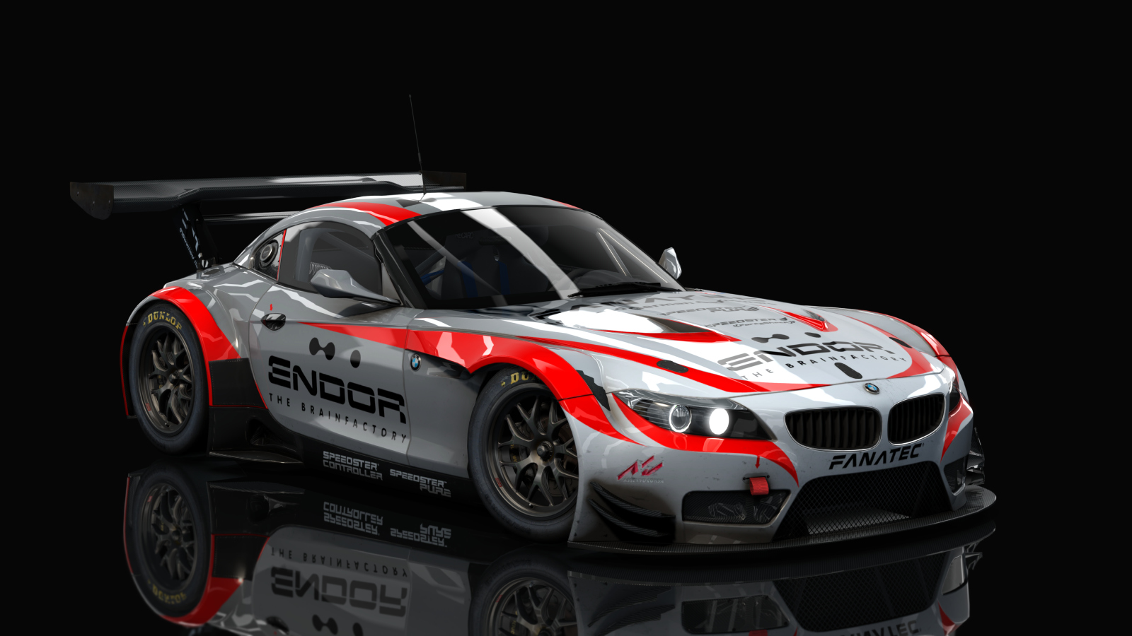 VM BMW Z4 GT3, skin fanatec