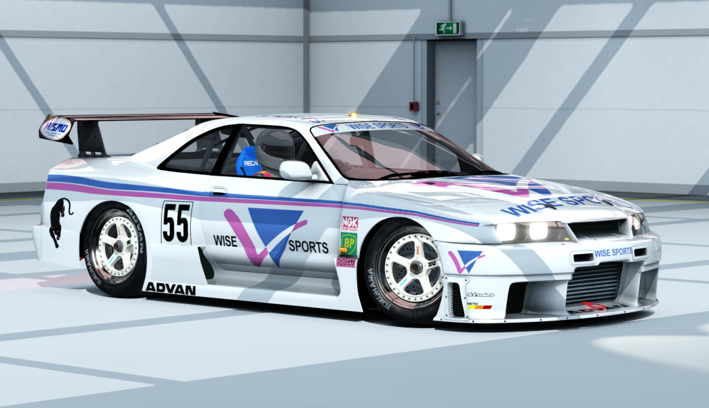 Nissan Skyline R33 GT-R LM, skin 55_Wise_Sports